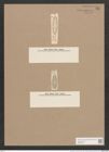Navicula lata var. minor Grun. (de-Toni-Nr.: Genus 1, Species 32) Zeichnungen Sammlung Grunow Nr. 91 (NHMW-BOT-W0366294)